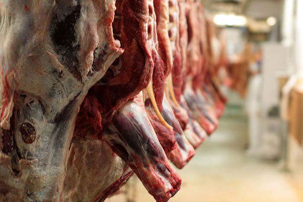 آیا گرانی برنج به دلار ارتباط دارد؟